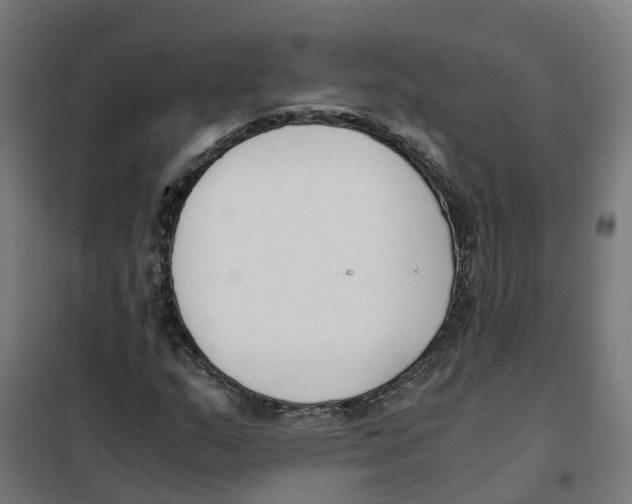 X0000101681159200808071102