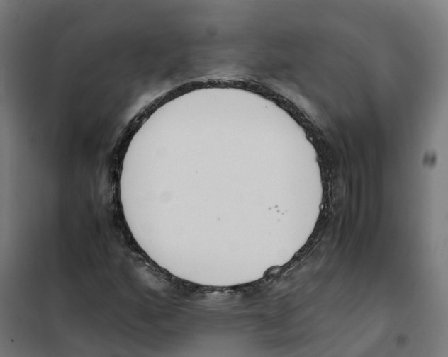 X0000101681160200808071102