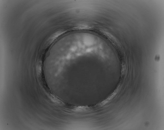 X0000101681161200808071102