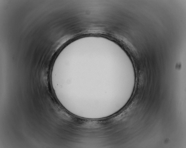 X0000101681162200808071102