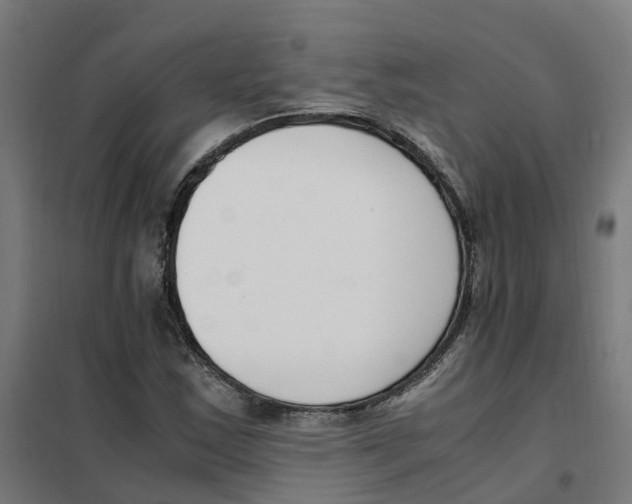 X0000101681163200808071102
