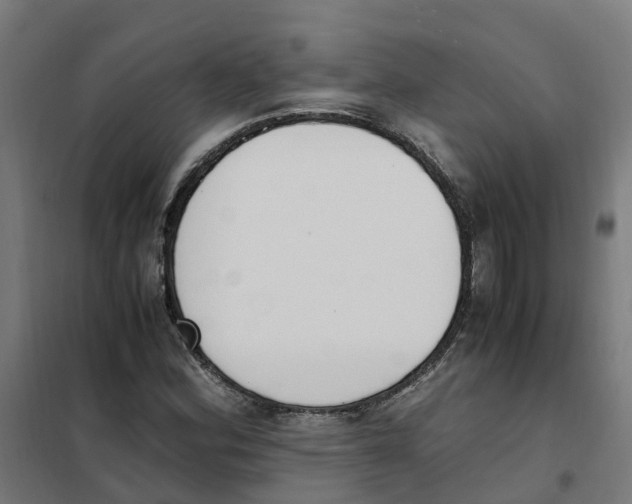 X0000101681164200808071102