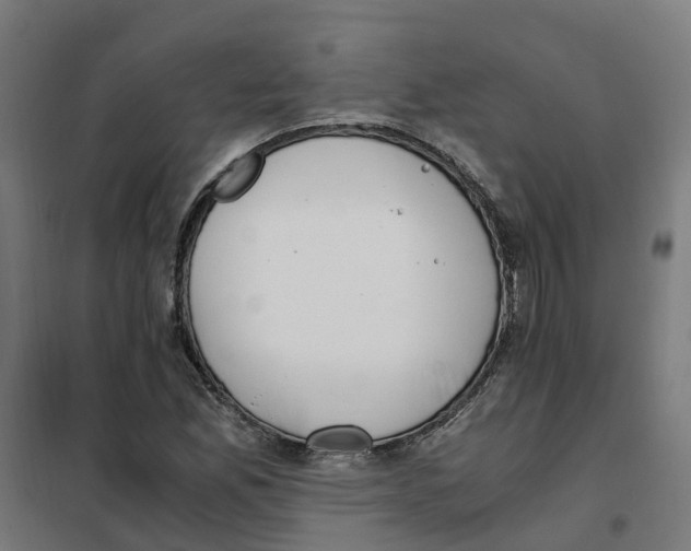 X0000101681165200808071102