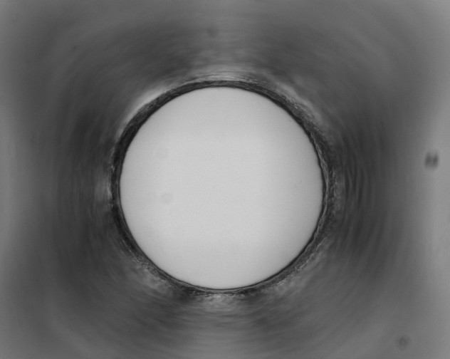 X0000101681166200808071102