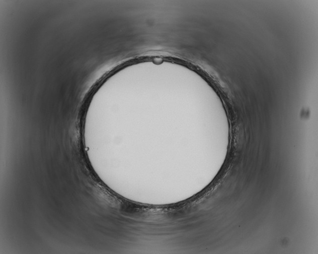 X0000101681167200808071102