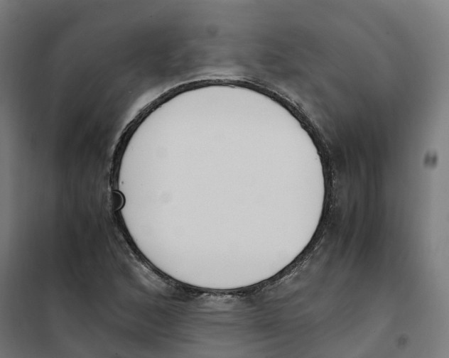 X0000101681168200808071102
