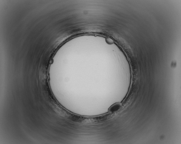 X0000101681169200808071102