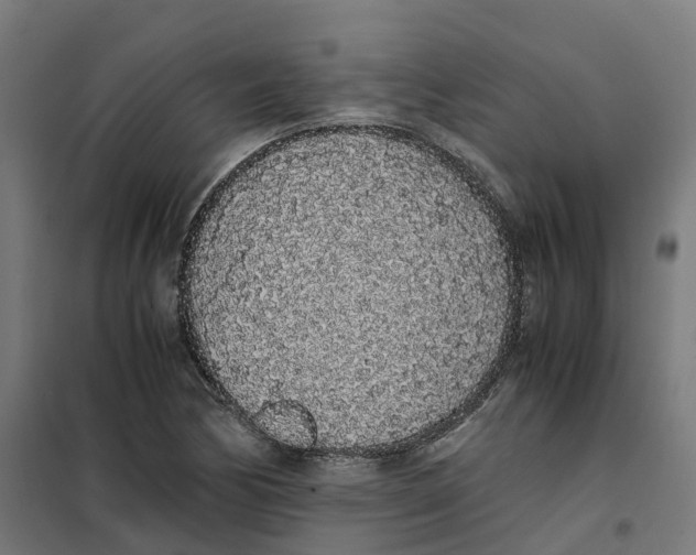 X0000101681170200808071102