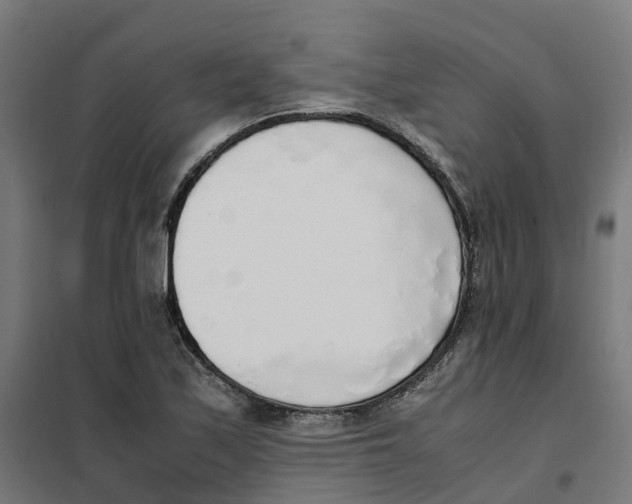 X0000101681171200808071102
