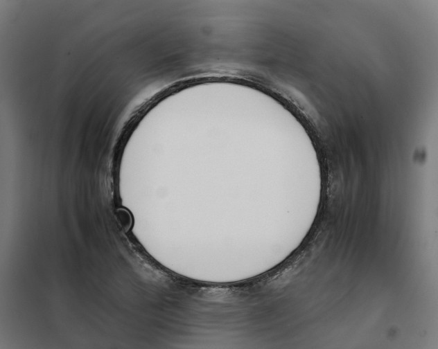 X0000101681172200808071102