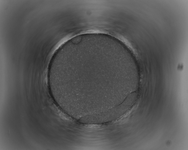X0000101681173200808071102