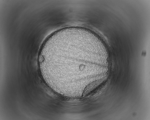 X0000101681174200808071102