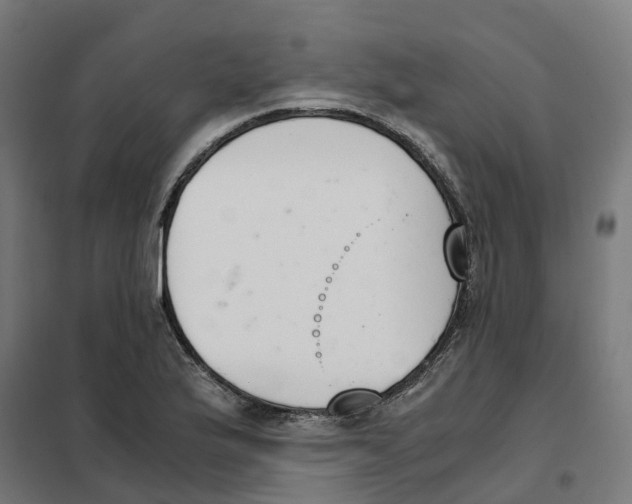 X0000101681175200808071102