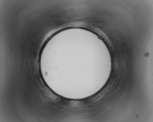 X0000101681176200808071102