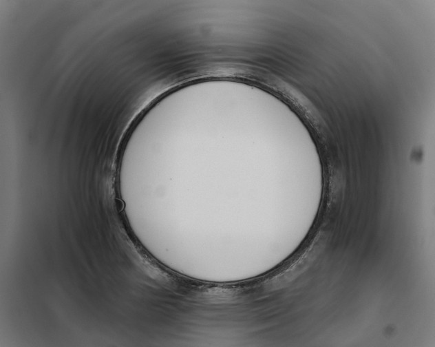 X0000101681178200808071102