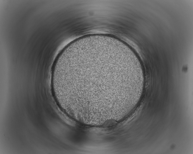X0000101681179200808071102