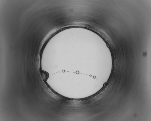 X0000101681180200808071102