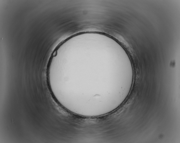 X0000101681181200808071102