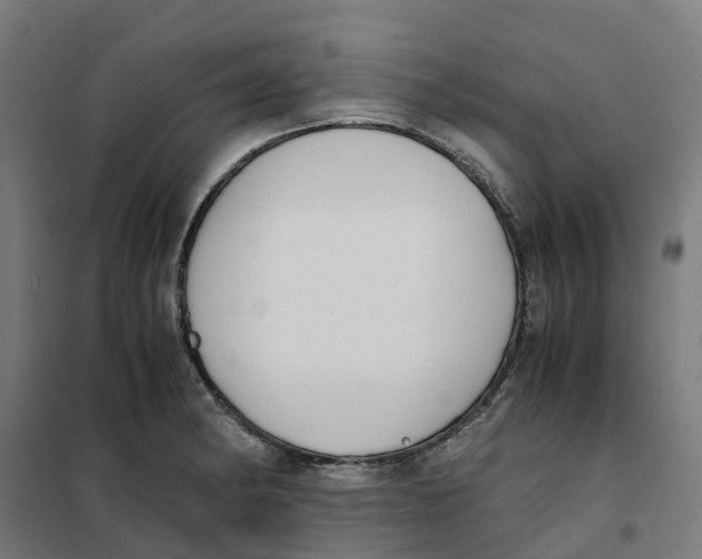 X0000101681182200808071102