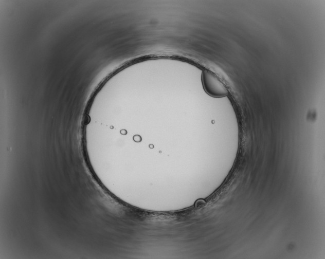 X0000101681183200808071102