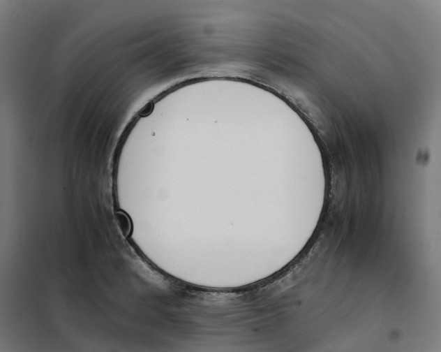 X0000101681184200808071102