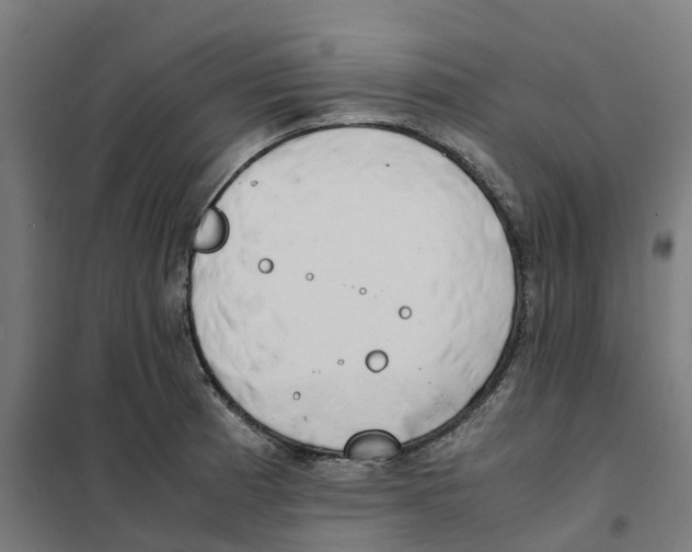 X0000101681185200808071102
