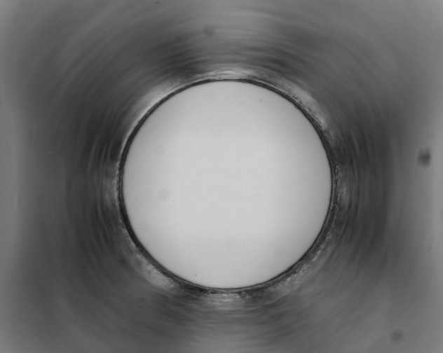 X0000101681186200808071102