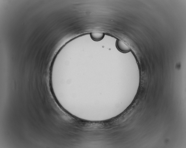 X0000101681187200808071102