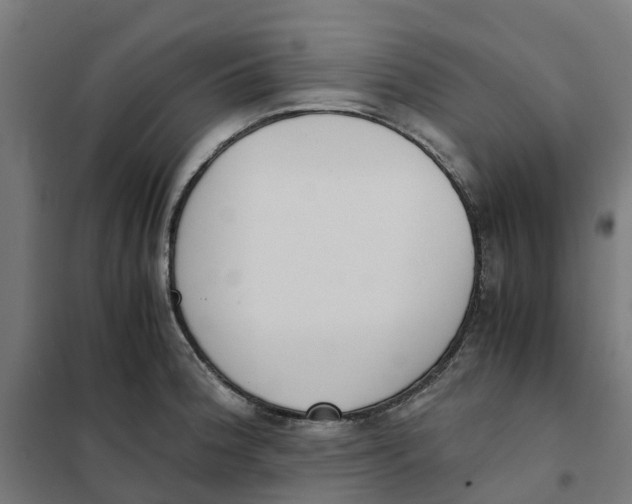 X0000101681188200808071102