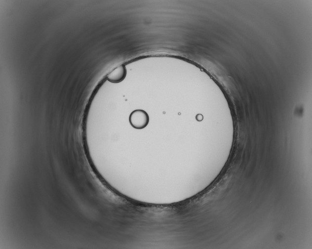 X0000101681189200808071102