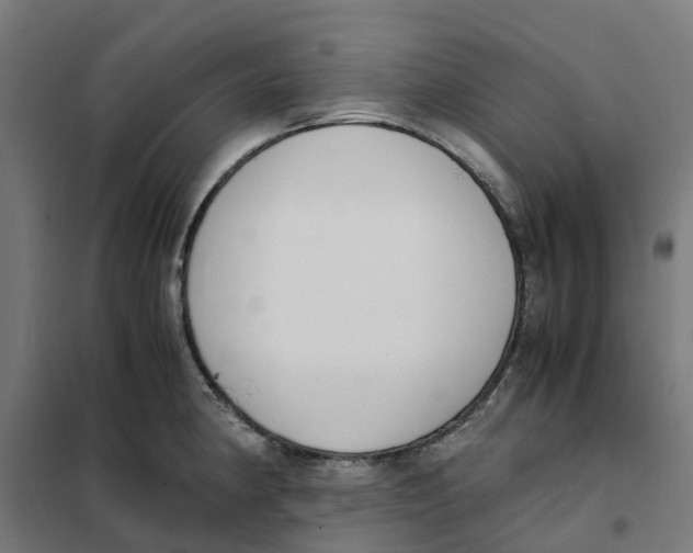 X0000101681190200808071102