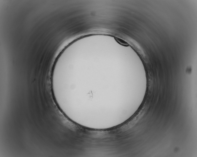 X0000101681192200808071102
