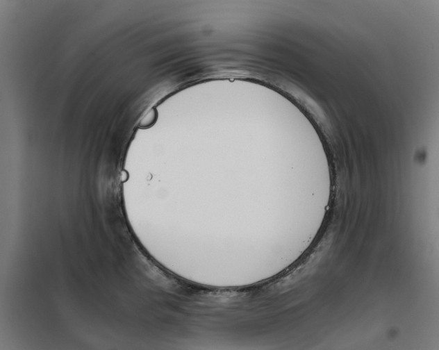 X0000101681193200808071101