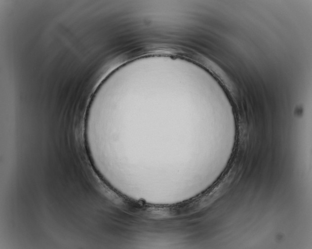 X0000101681194200808071101