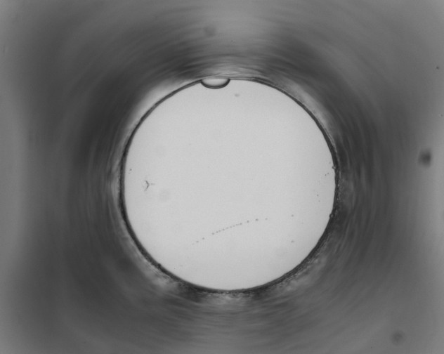 X0000101681195200808071101