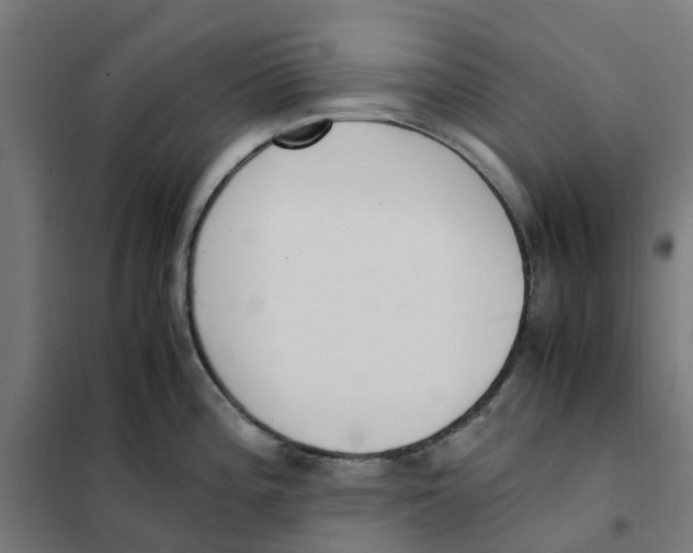 X0000101681196200808071101