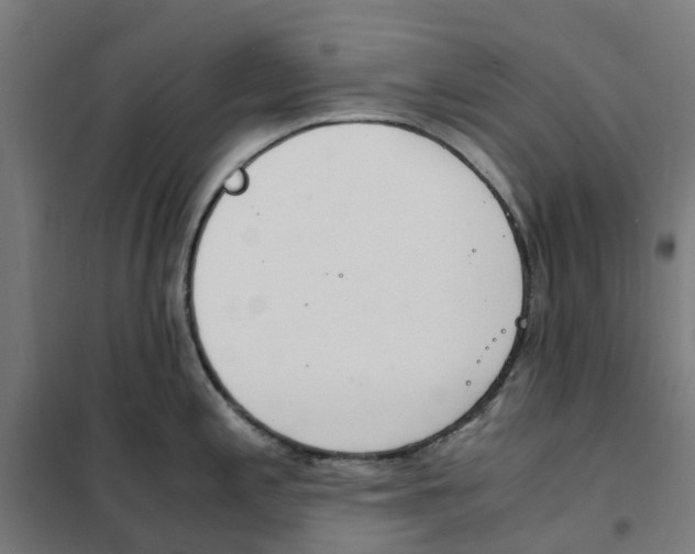 X0000101681197200808071101