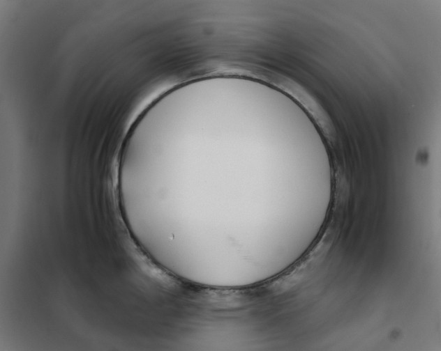X0000101681198200808071101
