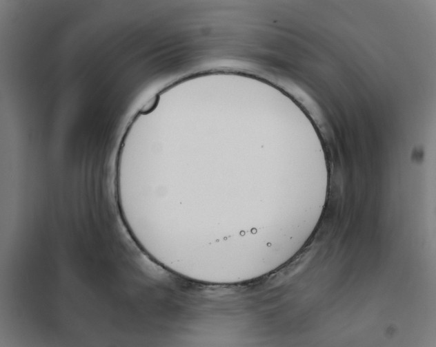 X0000101681199200808071101