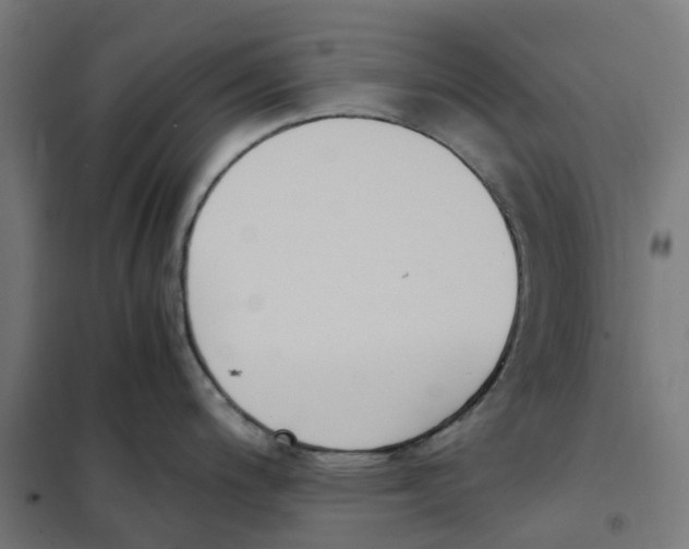 X0000101681200200808071101