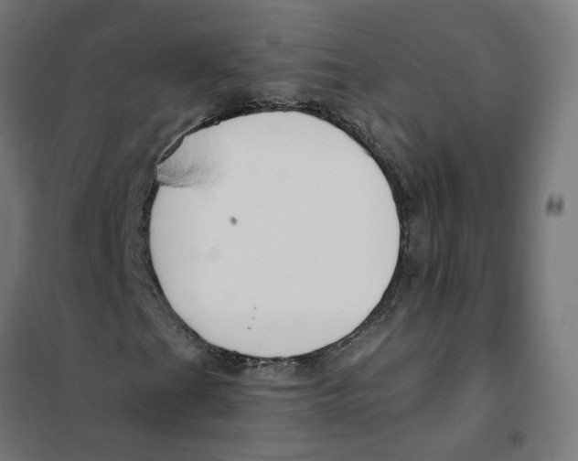 X0000101681201200808071101