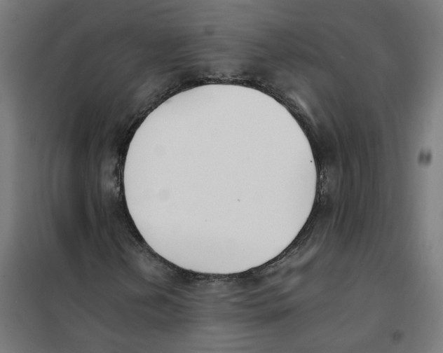 X0000101681202200808071101