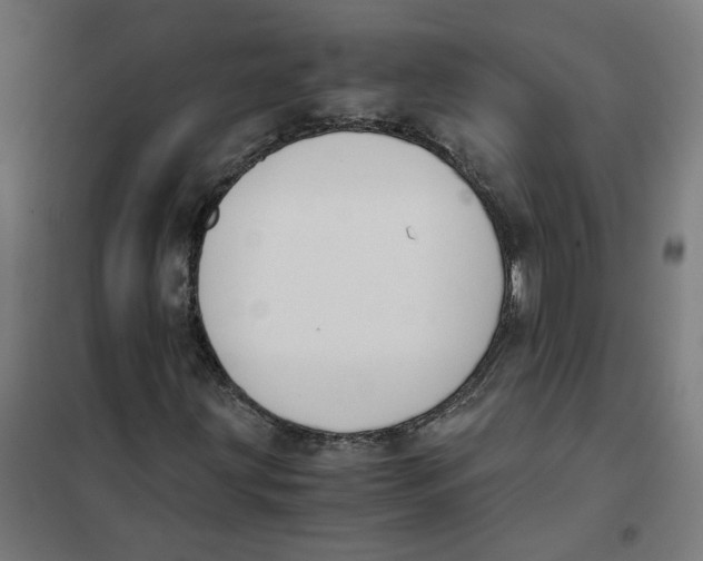 X0000101681203200808071101