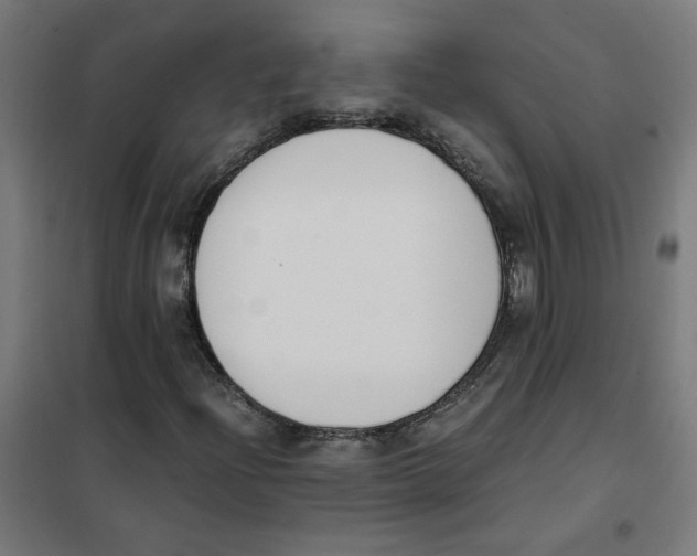 X0000101681204200808071101