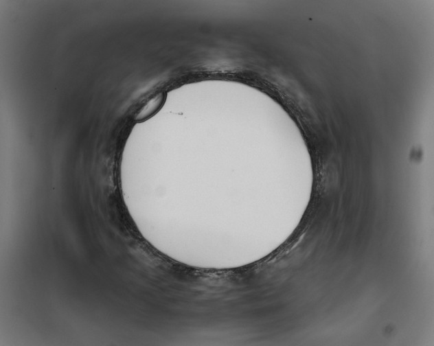 X0000101681205200808071101