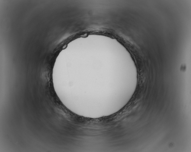 X0000101681206200808071101