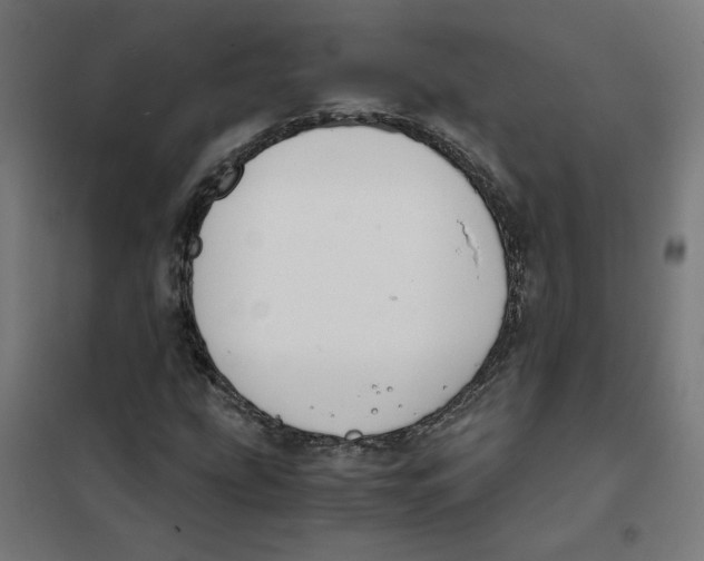 X0000101681207200808071101