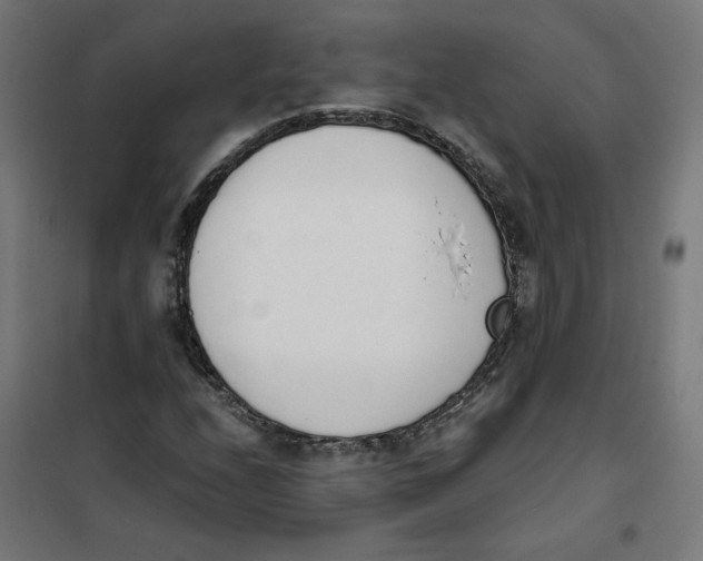 X0000101681208200808071101