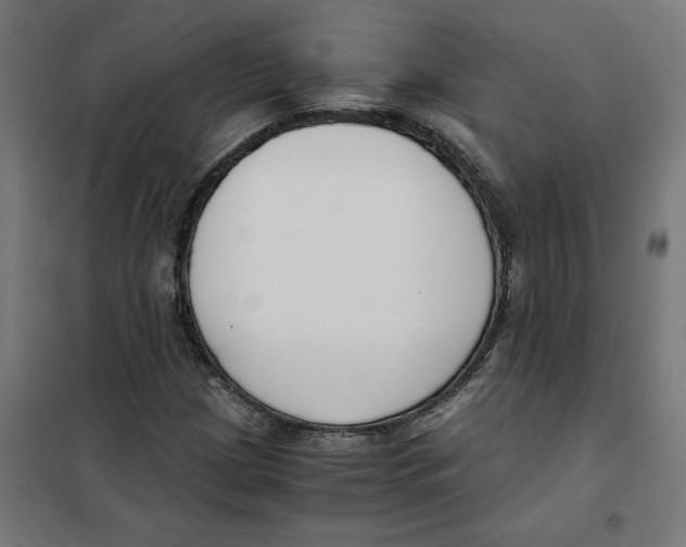 X0000101681209200808071101