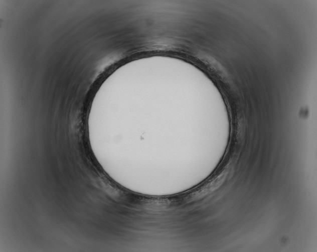 X0000101681210200808071101